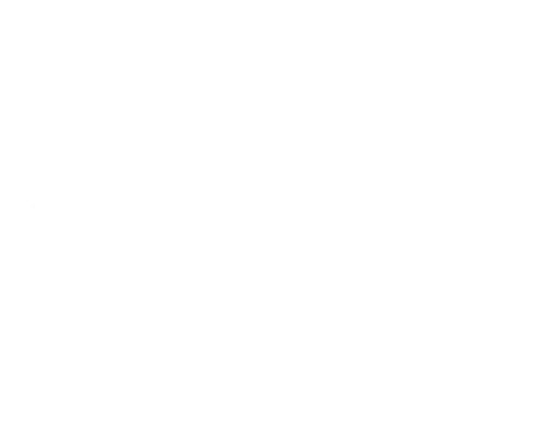 Nollen